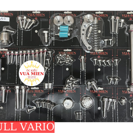 FULL  VARIO