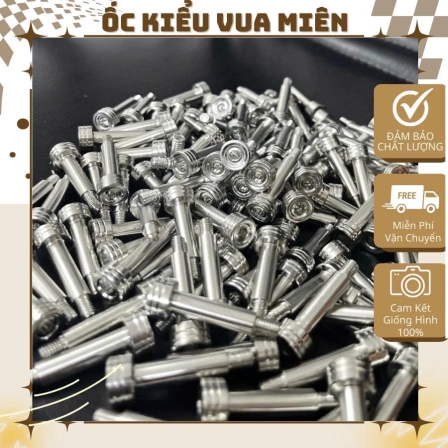 Ốc bợ cổ inox 304 dành cho xe Dream