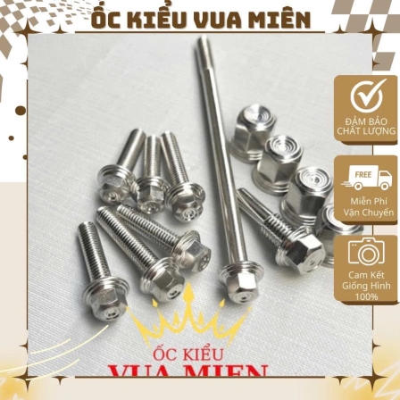 Full bộ ốc đầu lòng mẫu Thái Inox304 dành cho các dòng xe