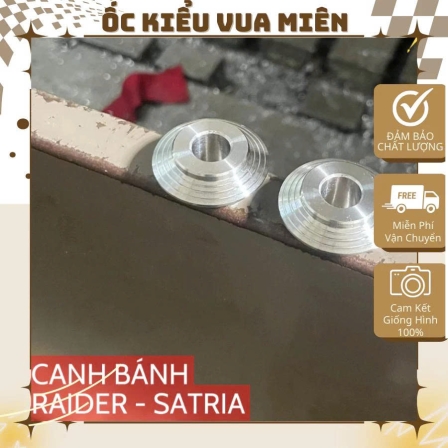 Canh bánh trước Raider Satria Fi inox304 sáng bóng