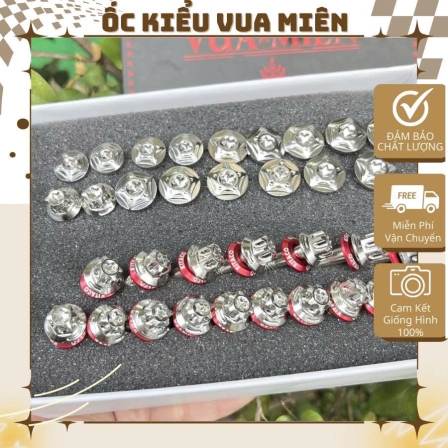 Combo lốc máy dàn áo kèm long đền lốc mẫu M3 và mẫu Thái dành cho các dòng xe